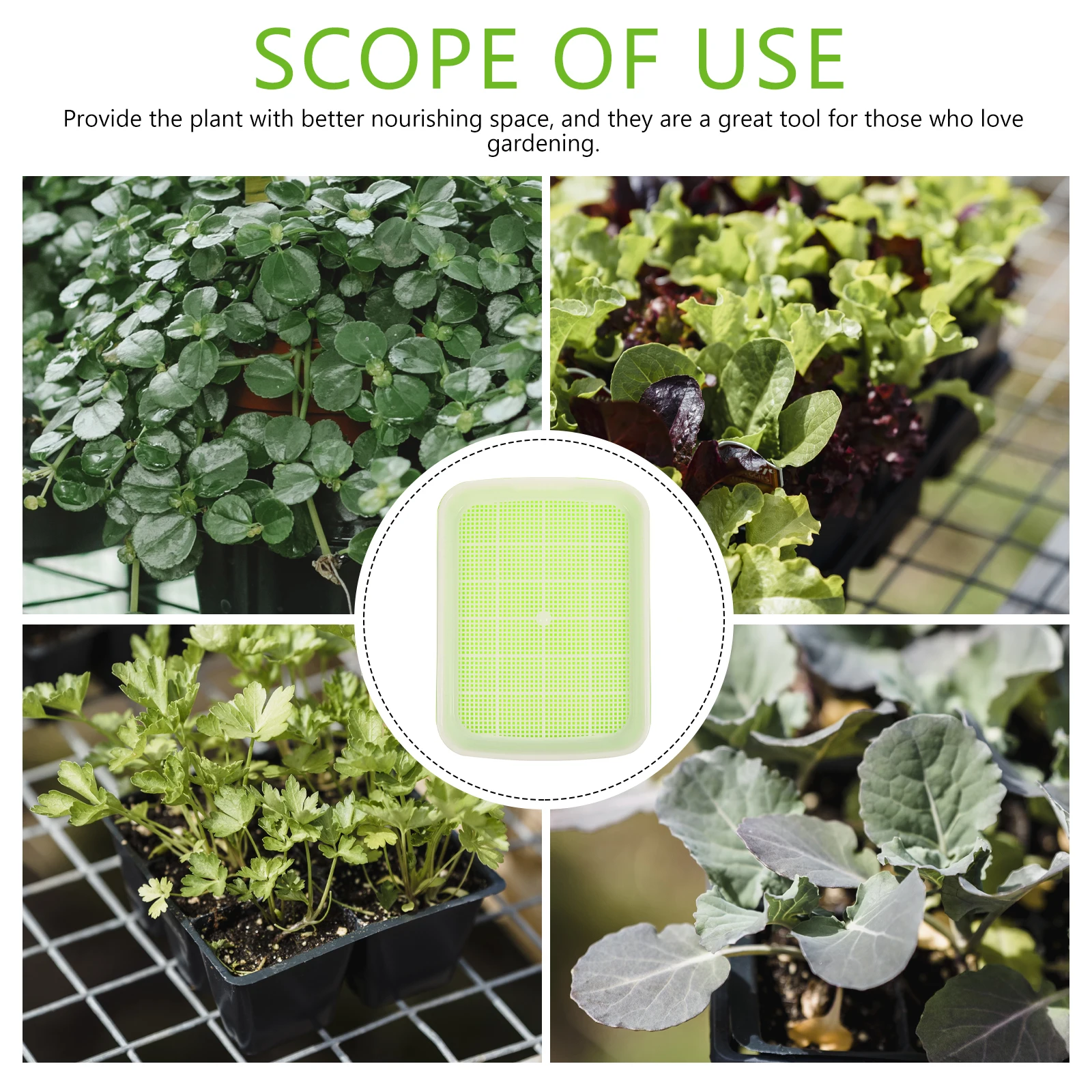 

3pcs Premium Nursery Tray 600 Cell Hydroponic Germinating Basin For Soilless Plant Growing Trays Garden Supplies