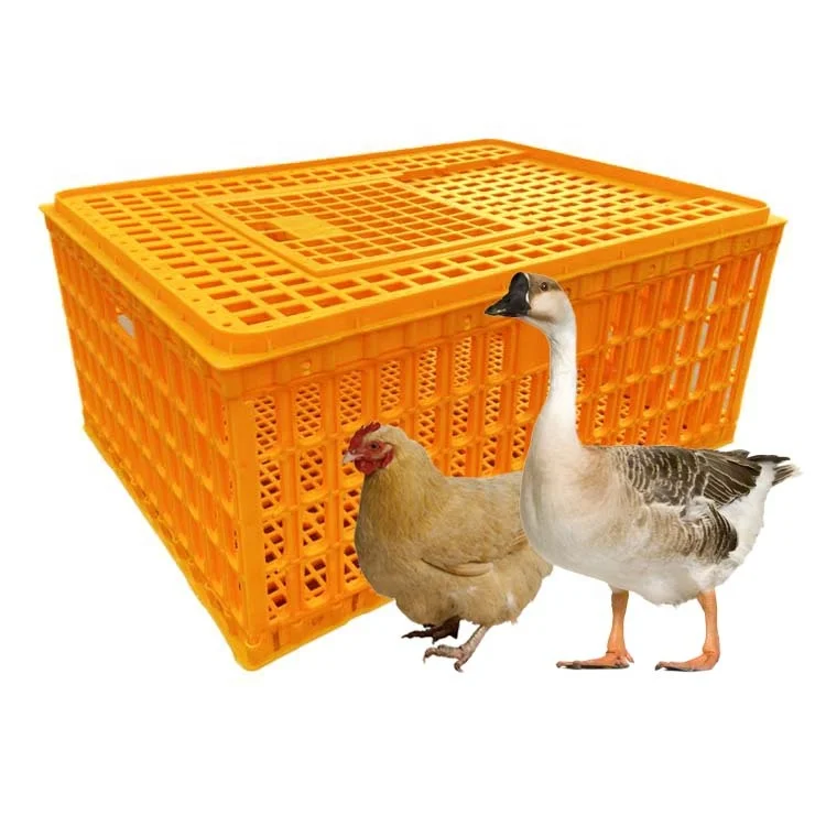 Small Household Chicken Duck Pigeon Rabbit Cage-Plastic Transport Turnover Basket Poultry Breeding-Chicken Pigeon Equipment