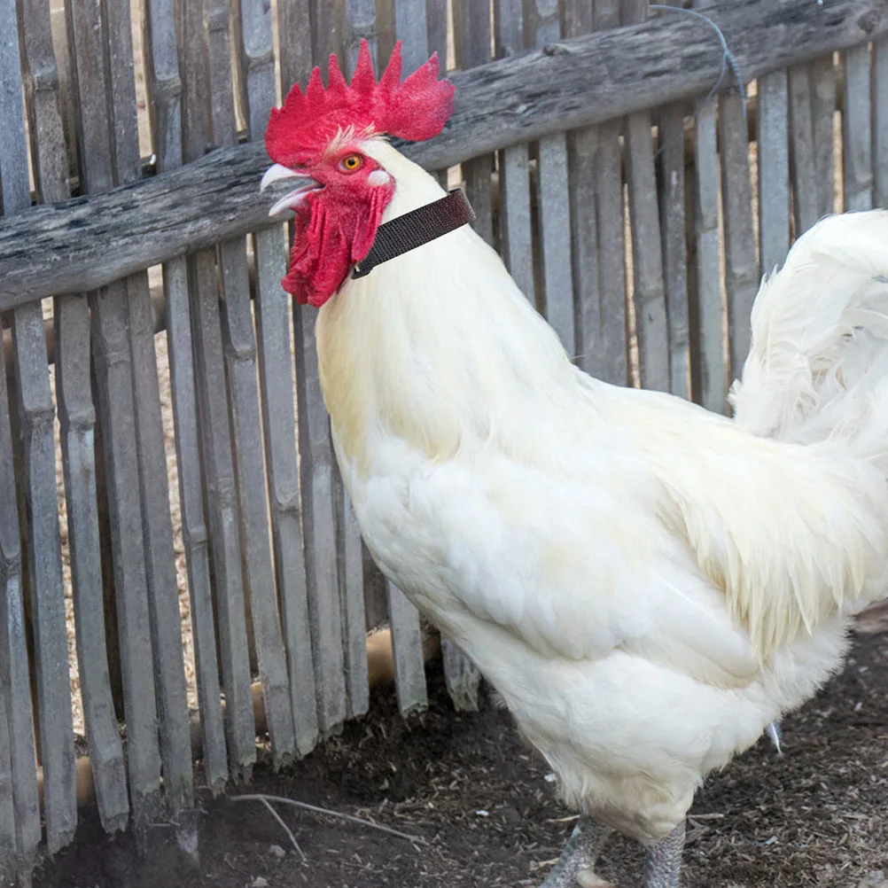 

6pcs Anti Noise Collar Chicken Accessories Rooster Crow Black Crowing Pet Dog Adjustable Poultry Care Goat Collar
