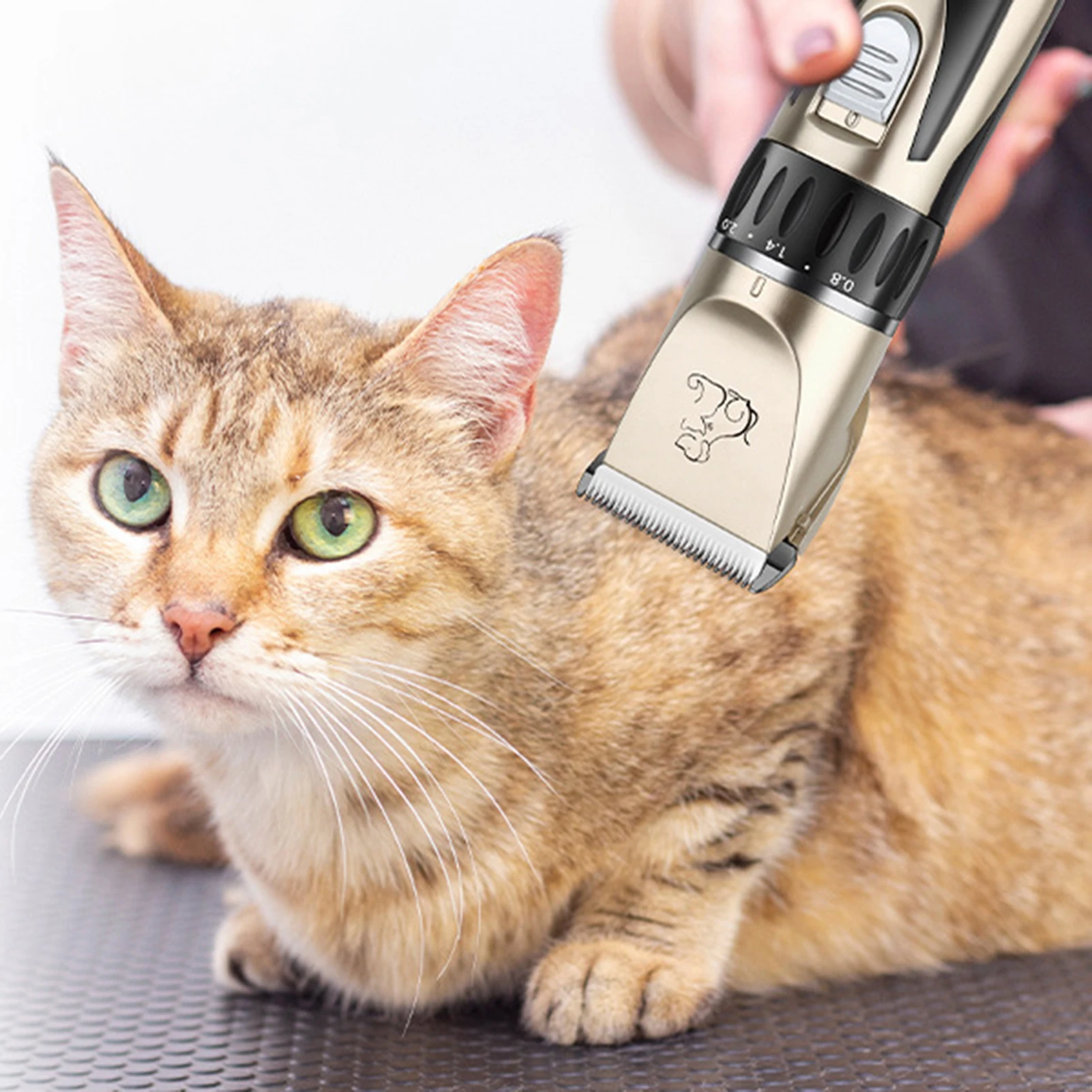HIENA Trymer do sierści zwierząt Profesjonalna elektryczna maszynka do strzyżenia sierści dla psów i kotów Maszyna do strzyżenia sierści zwierząt domowych o dużej mocy