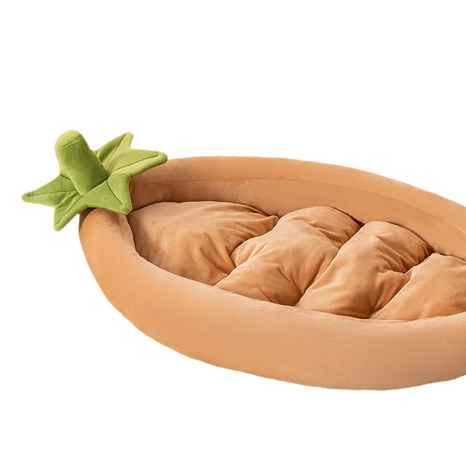 سجادة أرضية للحيوانات الأليفة للكلاب والقطط للقطط الصغيرة والمتوسطة والكبيرة والقطط الداخلية #5