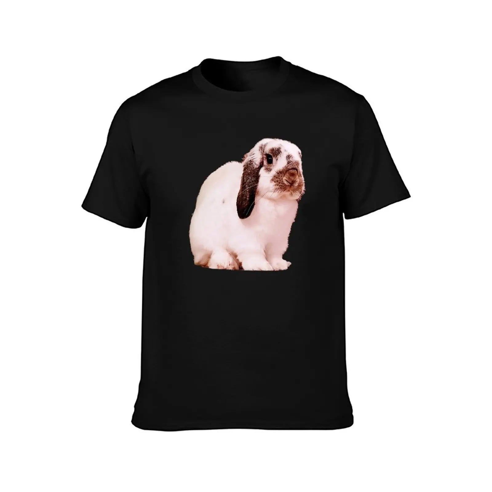 Jasper the Rabbit T-Shirt Running Gym Short Sleeve Sports Tee T-Shirt