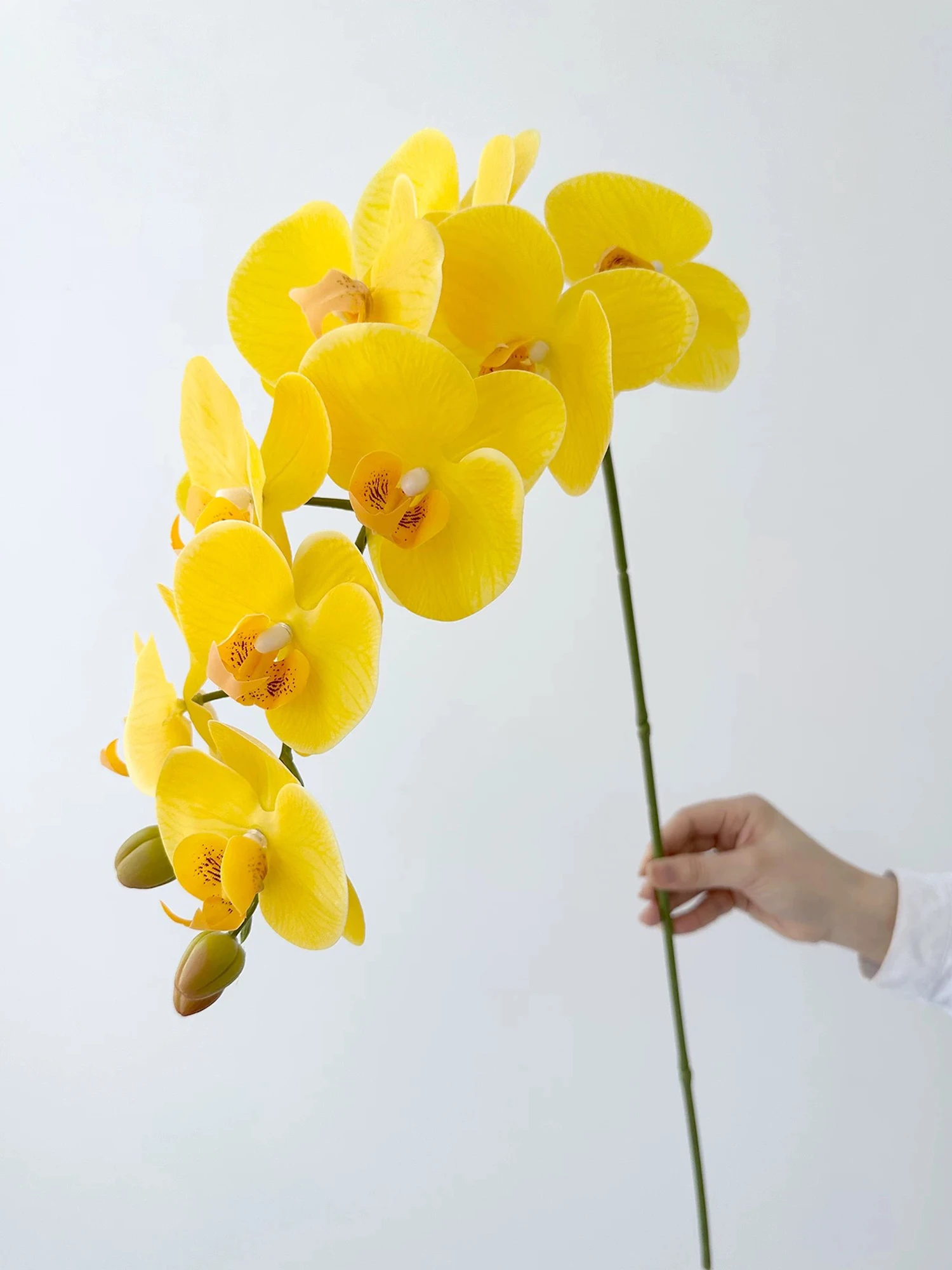 لمسة حقيقية زهور الأوركيد الاصطناعية 9 رؤساء الأبيض فالاينوبسيس طويل الجذعية الأصفر فو بساتين الفاكهة للمنزل الزفاف محور ديكور