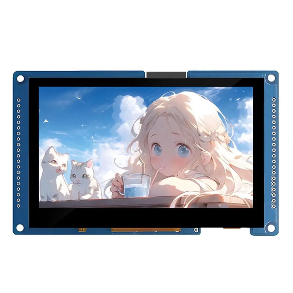- Development Board IPS Capacitive Touch Display Screen 800x480 4.3 Inch Display WiFi BLE5 16MB Flash 8MB PSRAM