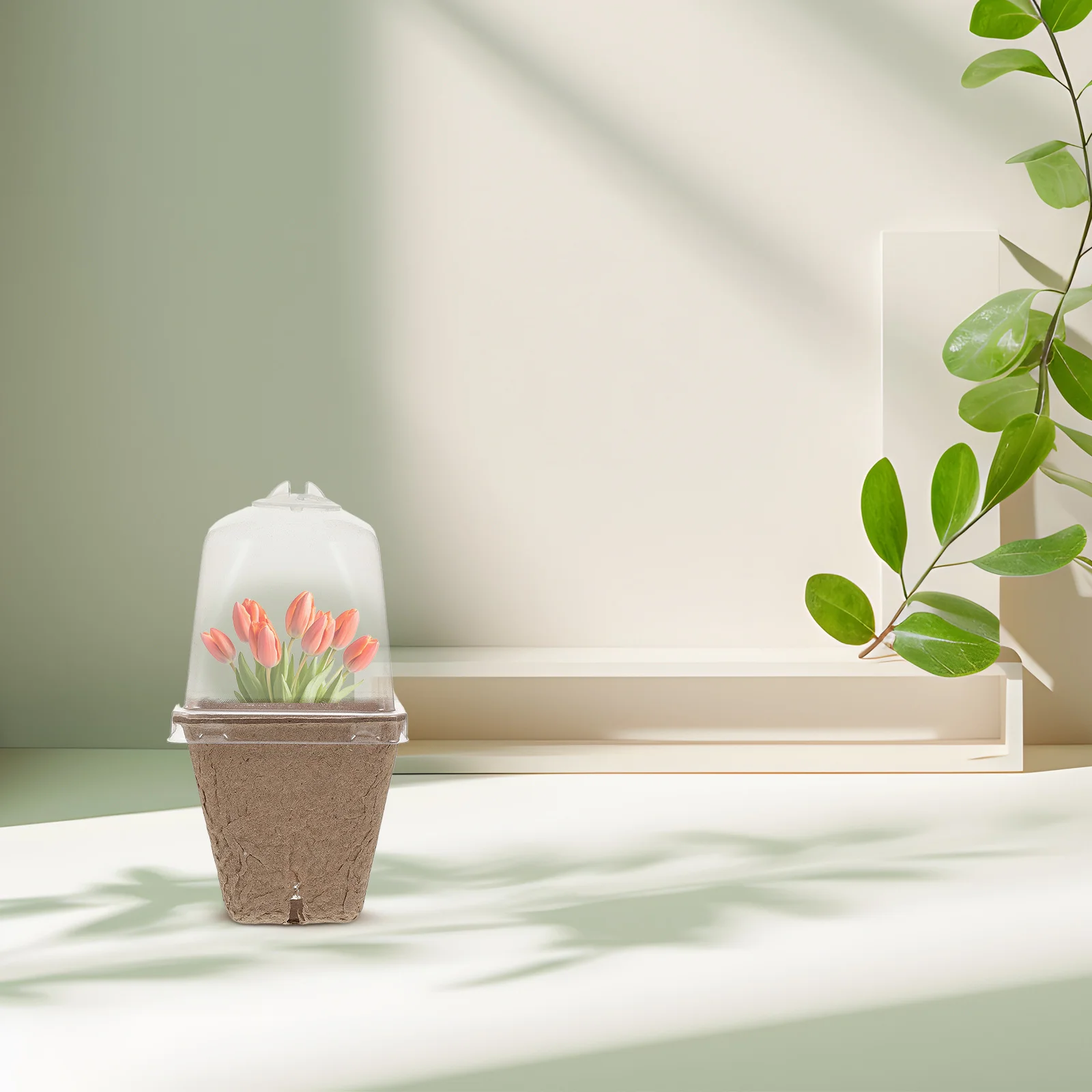 

36Pcs Square Nursery Pots Paper Pulp Ventilated Dome Lids Seedling Starter Kit Space Saving Design Indoor Greenhouse Gardening