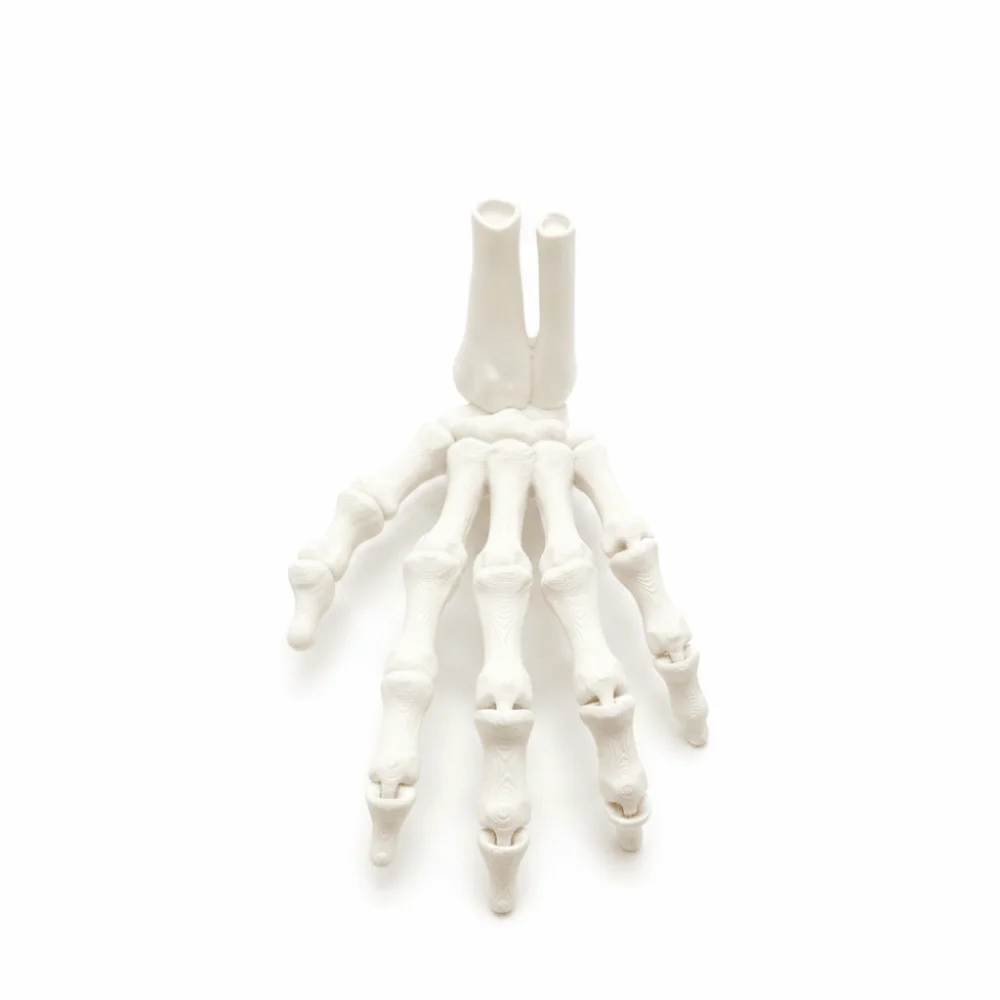 3D Printed Skeleton Hand Realistic Design Flexible Joint Hand Bone Ornaments PLA Material Creative Zombie Festival Props