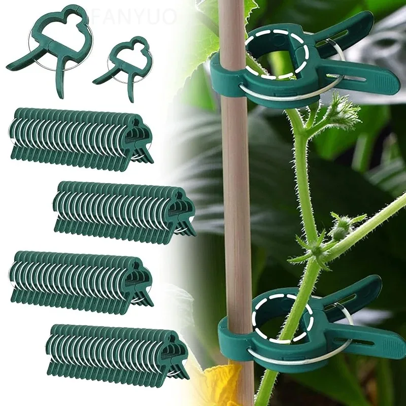 2026 مقاطع حديقة قابلة لإعادة الاستخدام دعم النبات تثبيت مقاطع للدفيئة الطماطم الكرمة زهرة الشتلات لوازم البستنة #2
