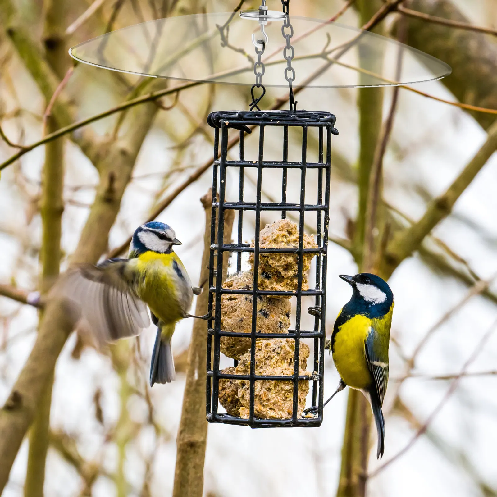 

Защитный чехол для кормушки для птиц XL с отбойником от белок и защитой от дождя для защиты корма, аксессуар для уличных кормушек, сверхпрочный пластик