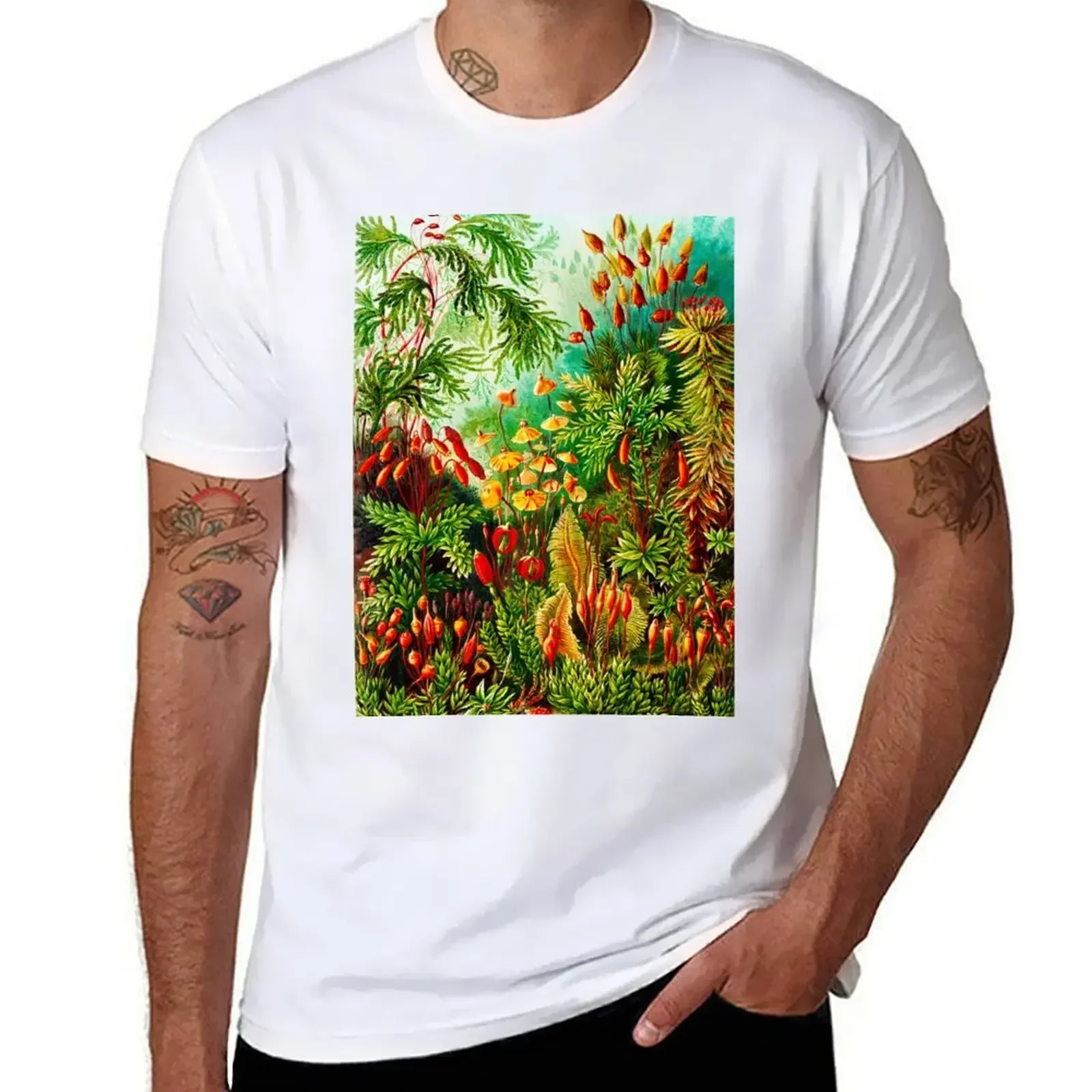 Muscinae–Laubmoose - mosses-Vintage Botanical by Ernst Haeckel T-shirt sports fans anime summer top workout shirts for men