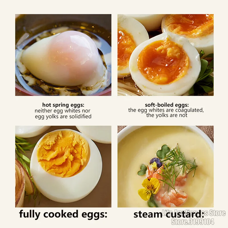 Bear Electric Egg Cooker 220V Egg Custard Stainless Steel Steamer 4 Working Modes For Home Kitchen Dormitory ZDQ-B06R2