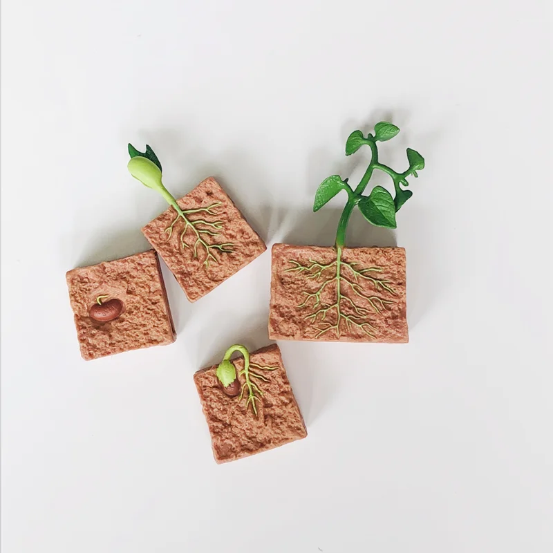 Montessori วงจรชีวิตของพืชชีววิทยาการเรียนรู้ของเล่นเกมการศึกษาปฐมวัย 3 ส่วนความรู้ความเข้าใจการ์ด/Growth รุ่น