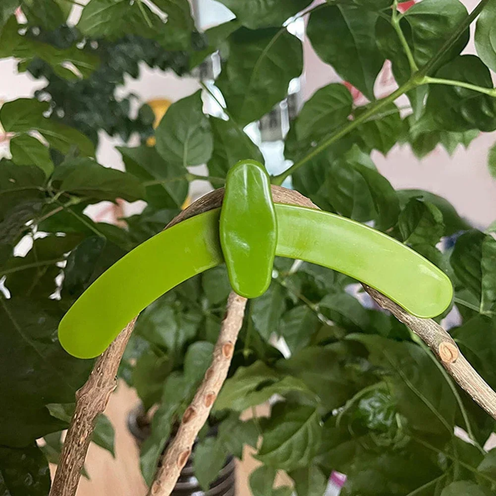 

Plant Bender Plant Training Clips Vine Plants Flowers Bonsai Tool Plant Stem Trainer Clips Plant Training Clips