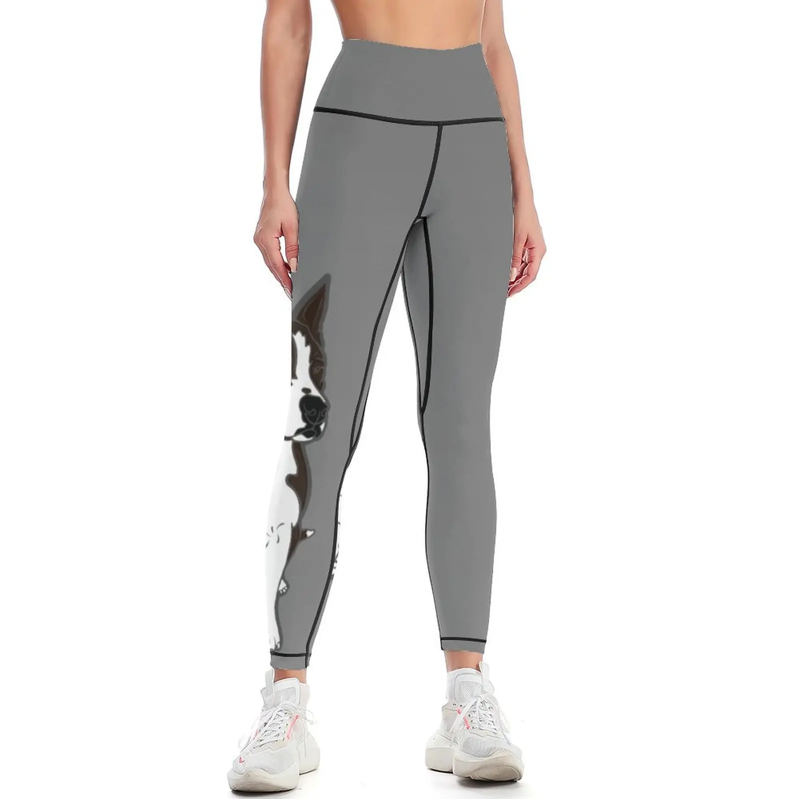 

Mr B Terrier Leggings Female legging pants Women's push up gym sportswear woman workout shorts Womens Leggings