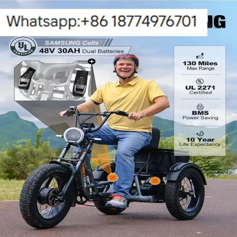 

Factory Wholesale Fat Tire Electric Trike High Power Rear Mounted Motor Removable Battery Lithium 48V 15Ah Full Suspension Frame