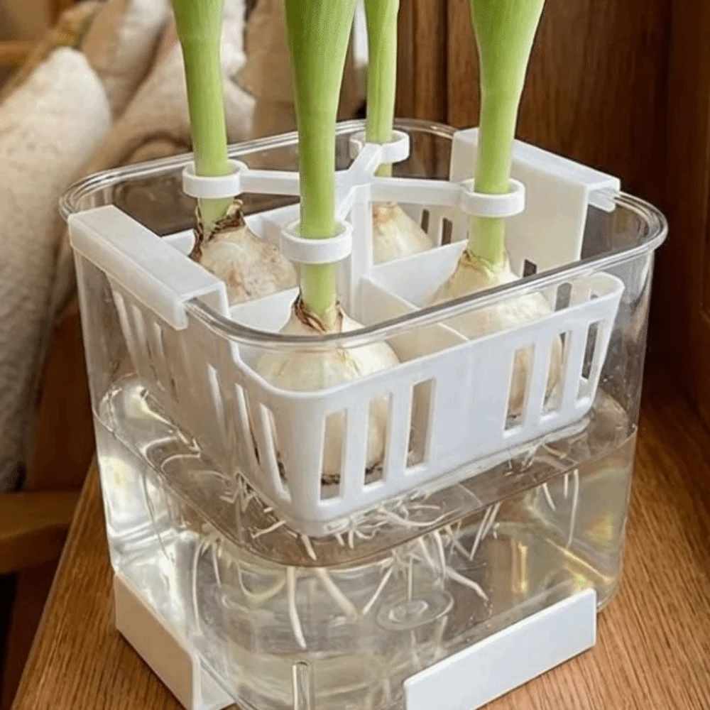 

4-Hole Hydroponic Tulip Anti-Tip Stand Anti-Fall Keep Upright Plant Fixer Bracket Plastic Stabilize Flower Support Tool