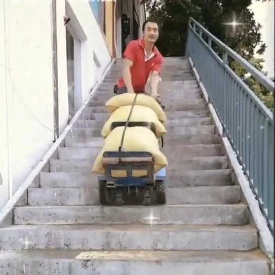 2 Wheel Electric Power  Stair Climbing Machine