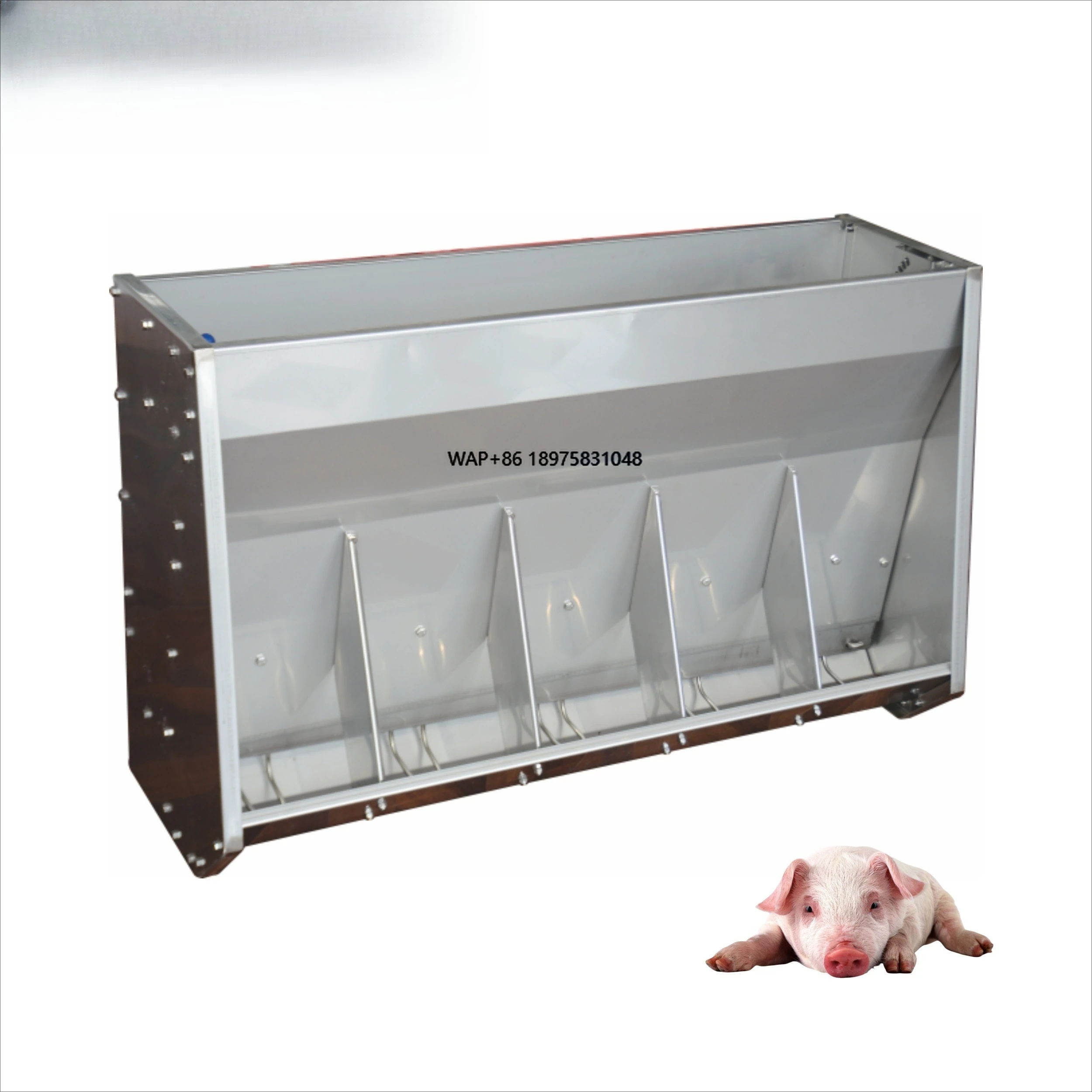 High Quality, Durable, and Advanced Pig Trough Equipment Specifically Designed for Aquaculture