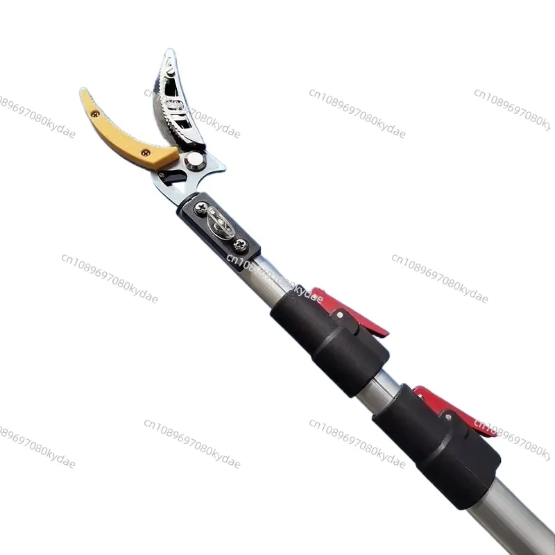 

Ручной телескопический плодосборник с длинной складной ручкой для сбора фруктов на большой высоте, садовый инструмент