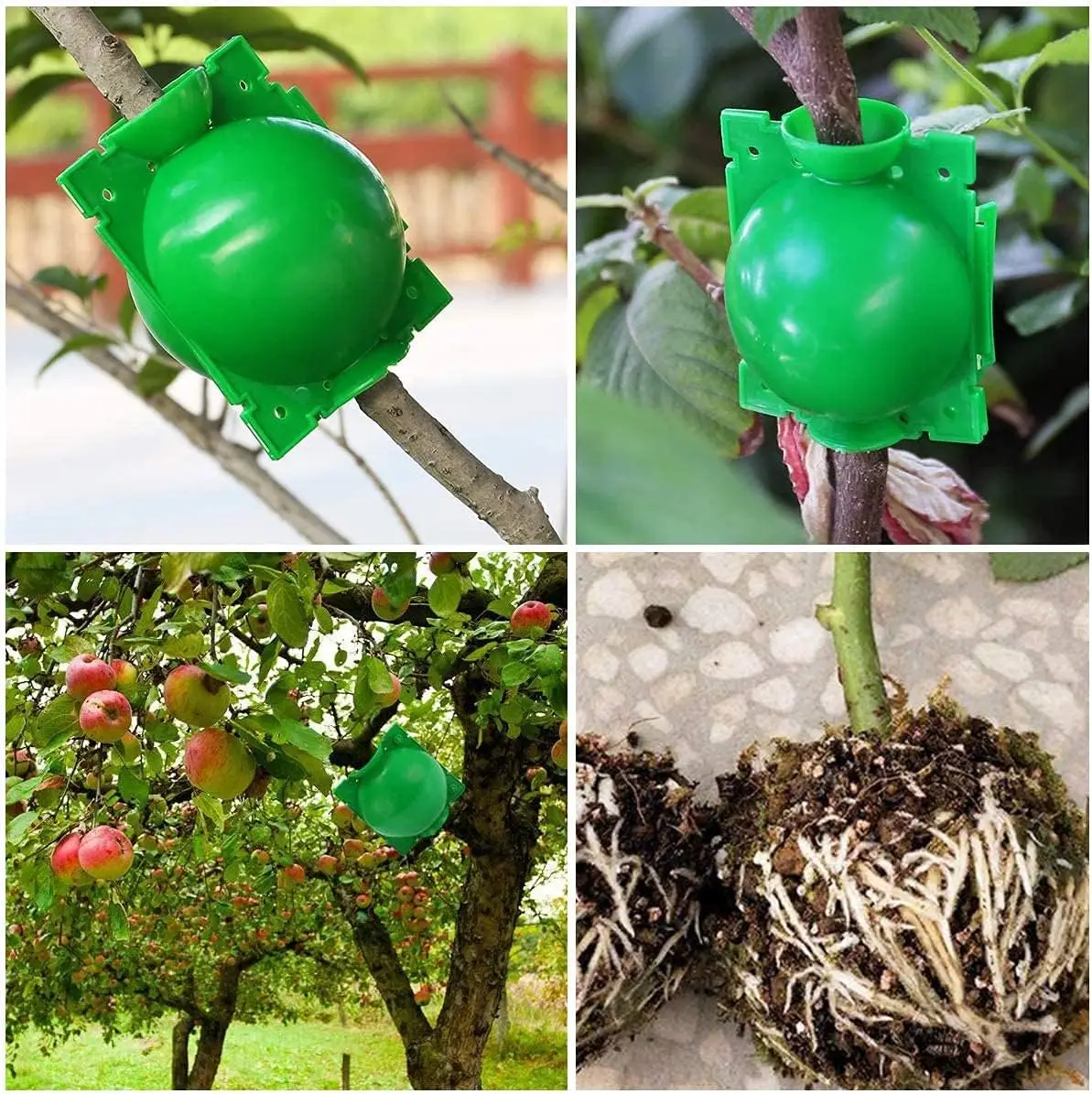 10Pcs Plant Rooting Ball Reusable Plant Root Growing Box Cutting Grafting Garden Rooting Propagation Ball Jardinage Pot