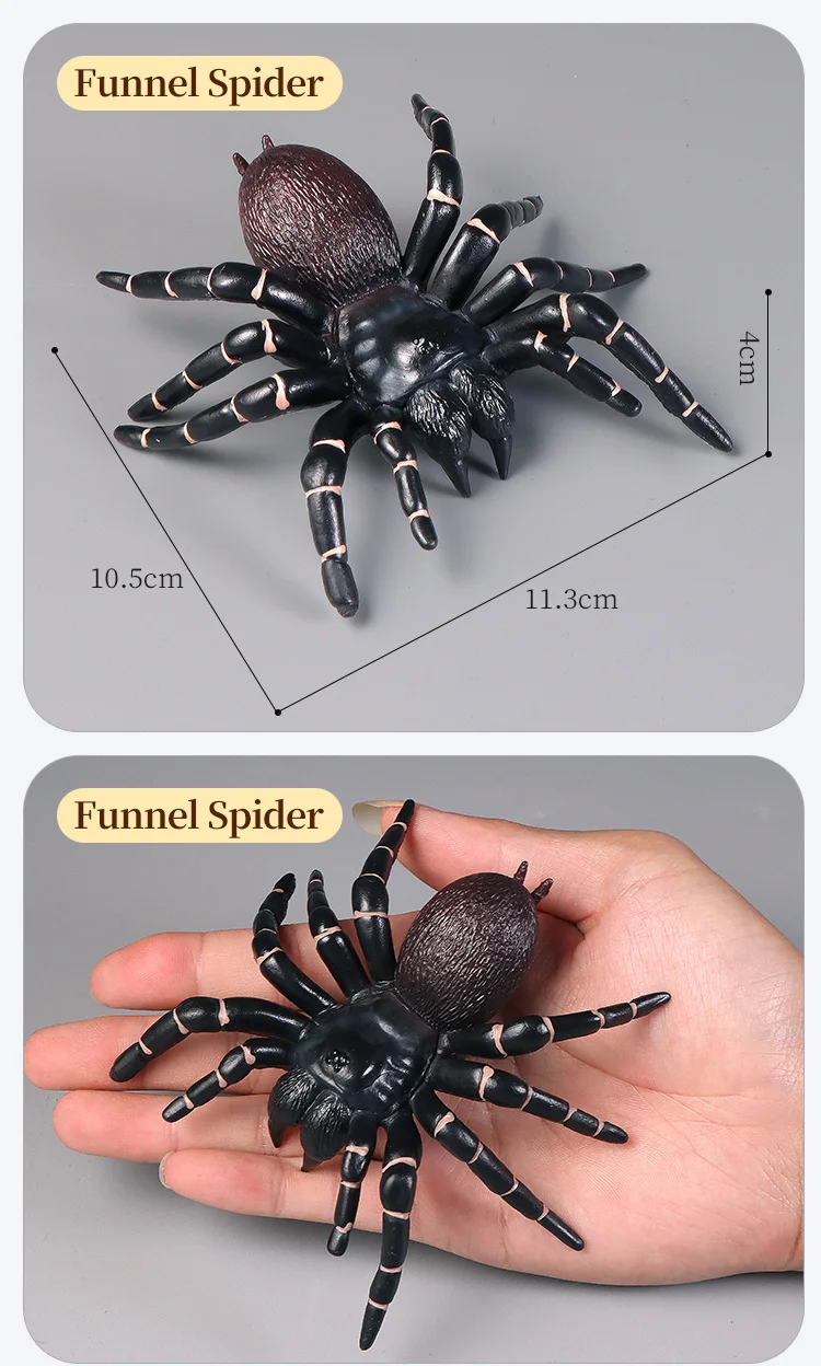 Pädagogische Insekten Spinne Spielzeug Zoo Action Figur Set Tier Welt Wissenschaft Kognitive Lernen Modell Simulation Dekor für Kinder – Detail 4