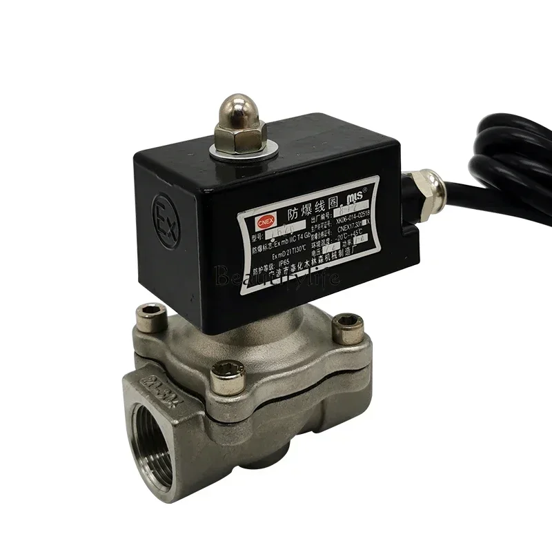 Normally Closed High Temperature Resistant Stainless Steel Explosion-Proof Solenoid Valve 2s-15b 220v24v