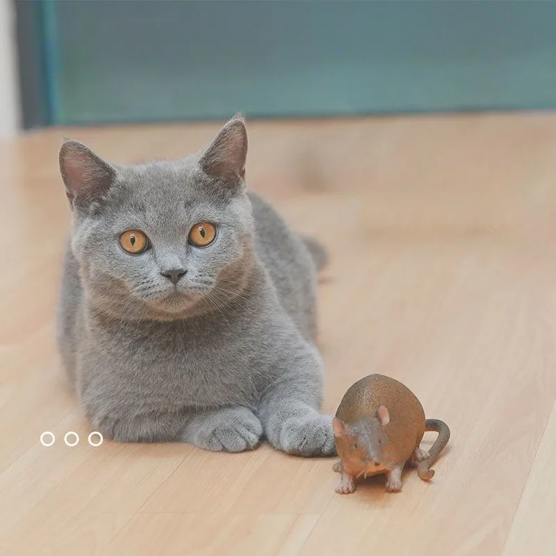 고양이 쥐 장난감 현실적인 부드러운 고무 애완 동물 고양이 놀리기 장난감, 쥐 물기 방지, 새끼 고양이 어금니 훈련, 재미있는 놀이 용품