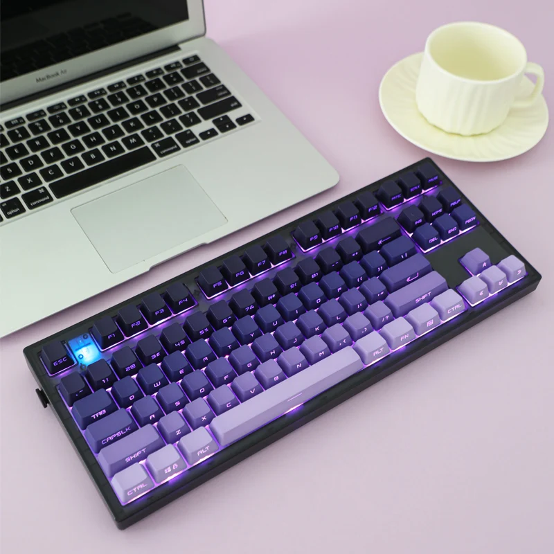 PBT Keycaps for Mechanical Keyboard Blueberries Purple Color OEM Height Double Shot Gradient Side Print Backligh AULA F75 GK61