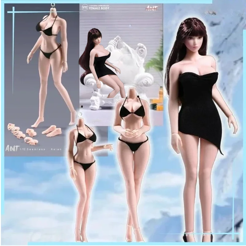 

【IN STOCK】 1/12 N306 Movable Figure Female Bodybuilding Sports Version Figure Toy Gift Collection