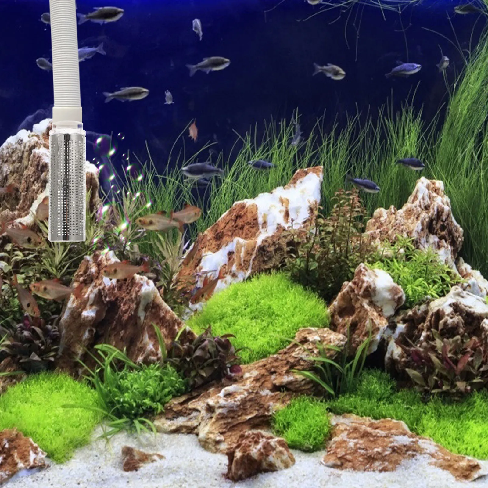 

Aquarium Filter Mesh Cover Stainless Steel Acrylic Prevent Debris Blockage Fish Tank Strainer Net Cylinder Design Protective