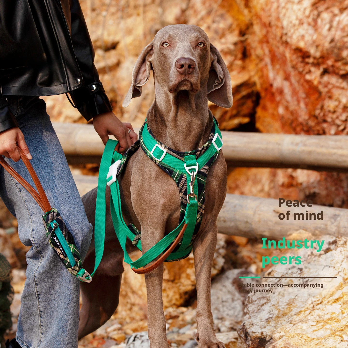 Pure Cotton Breathable Dog Chest Strap Non-Restrictive Large Dog Back Support Collie Breed Long-Haired Explosion-Proof Anti-Es
