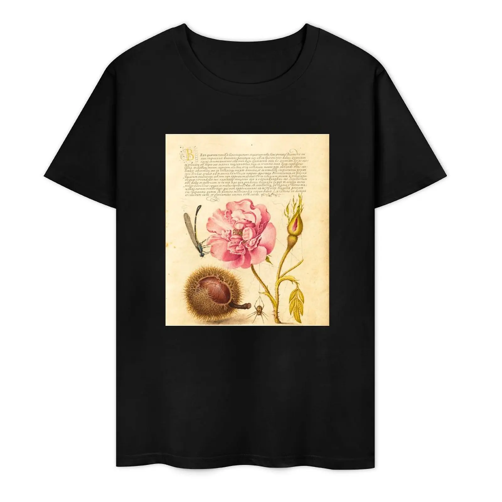 Spanish Chestnut, English Iris, and European Filbert - Medieval Illuminated Manuscript T-Shirt cute tops t shirts for men