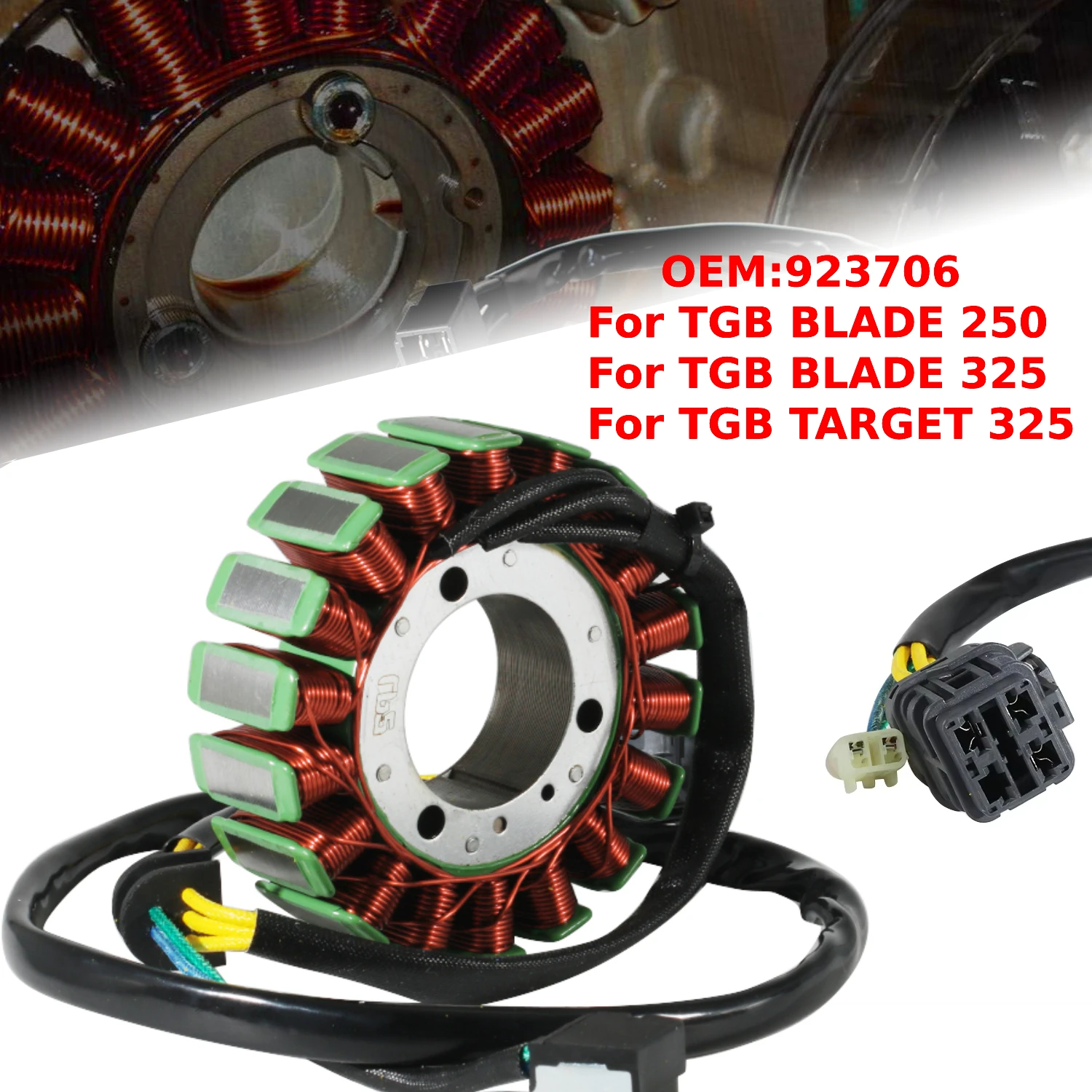 Motorcycle Generator Ignition Stator Coil 923706 Fit for TGB TARGET 325 BLADE 250 325 Accessories