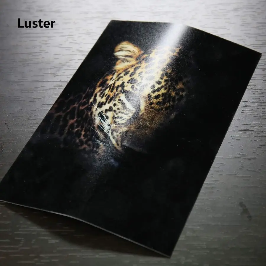 Premium Photo Paper Luster 13x19 Inch 66lb for Inkjet Printers 50 Sheets, Single Sided