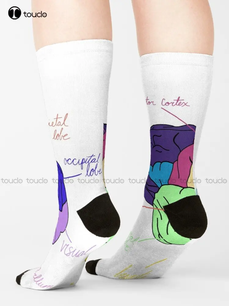 Brain Parital, Neuro, Neuroscience Socks Thin Socks Men Personalized Custom Unisex Adult Teen Youth Socks Custom Gift Streetwear