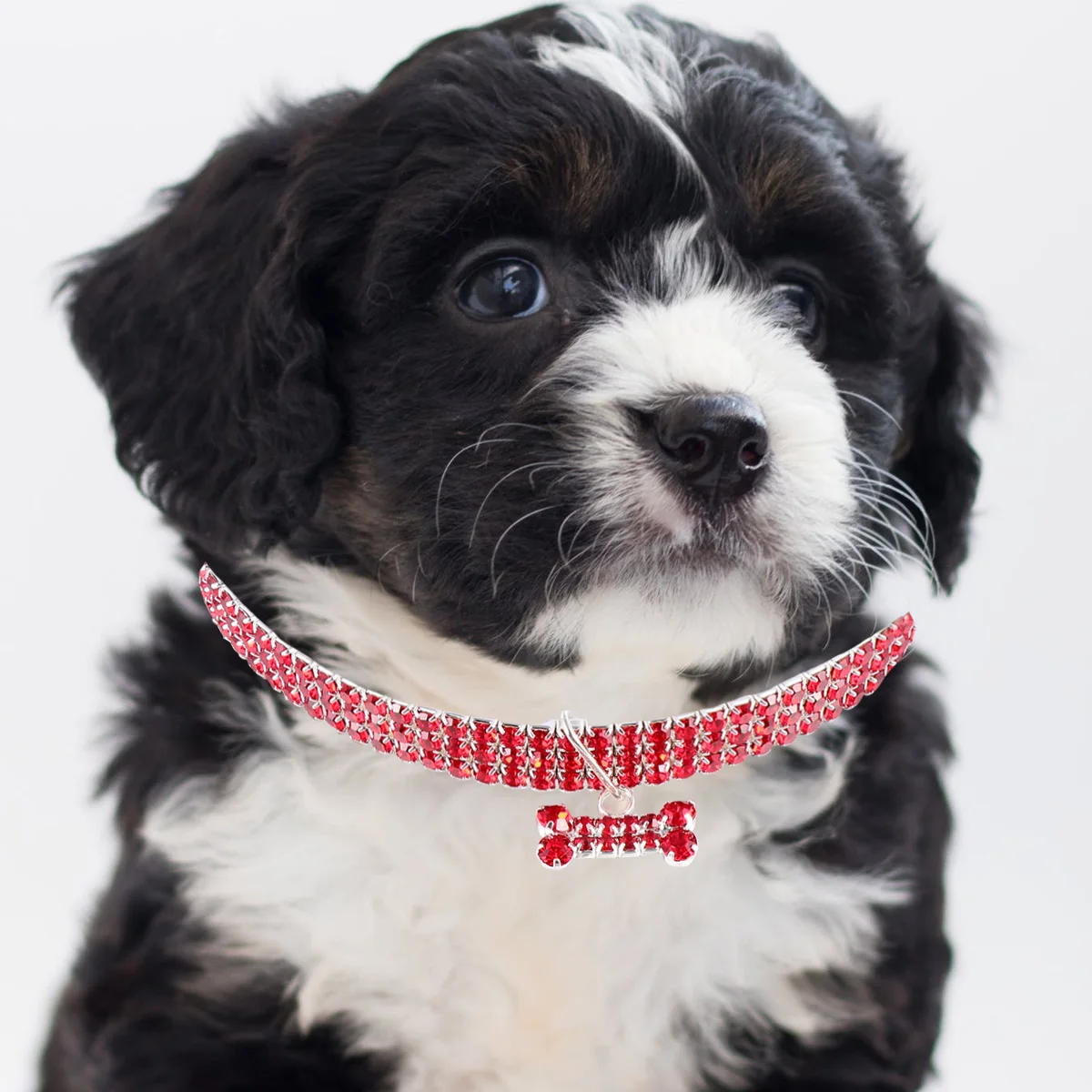 

Rhinestone Dog White Chain Adjustable Size Buckle Small Pet Necklace Crystal Rhinestone Pet Collar Puppy Cat Supplies