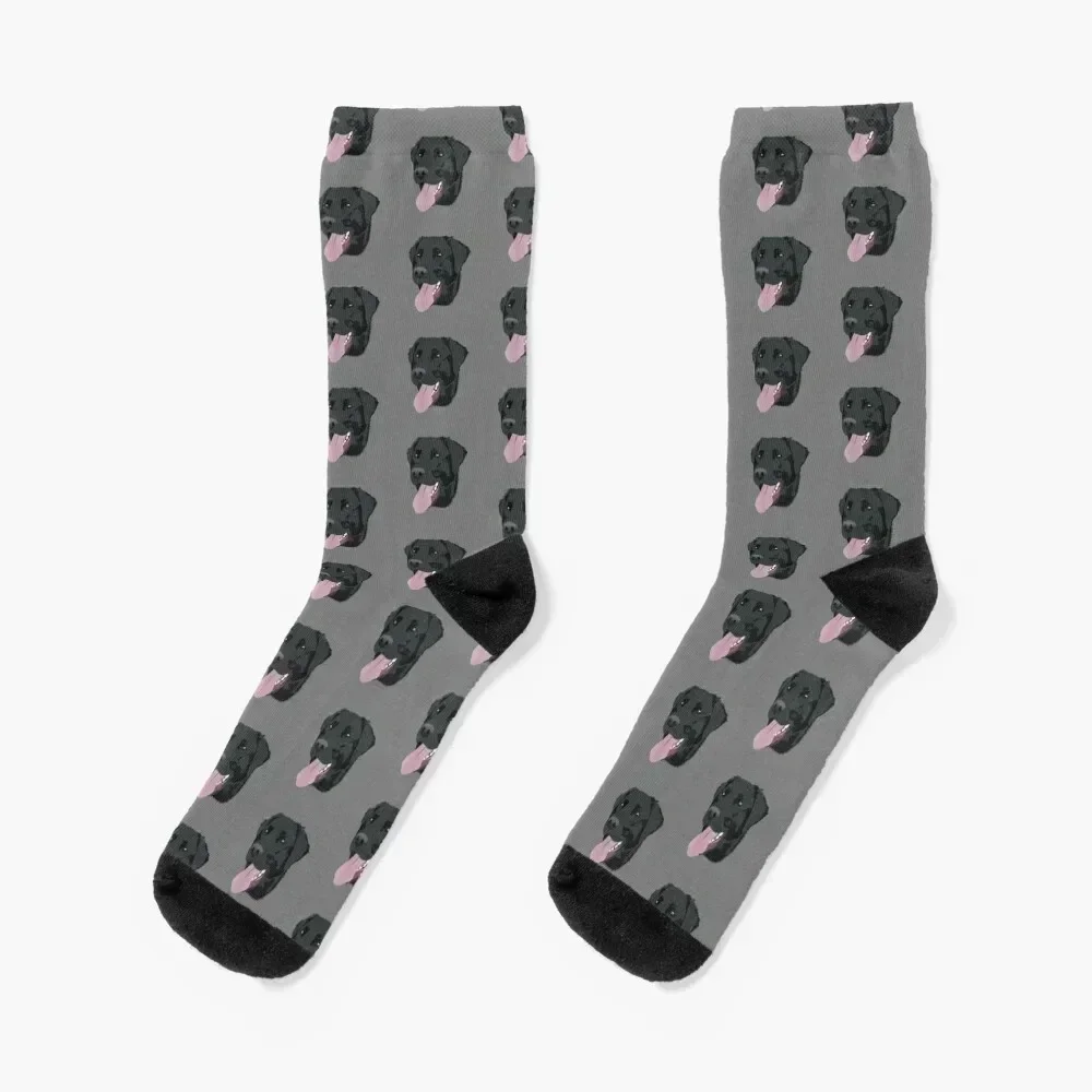 

Black Lab Socks colored kids Novelties Lots Socks Men's Women's