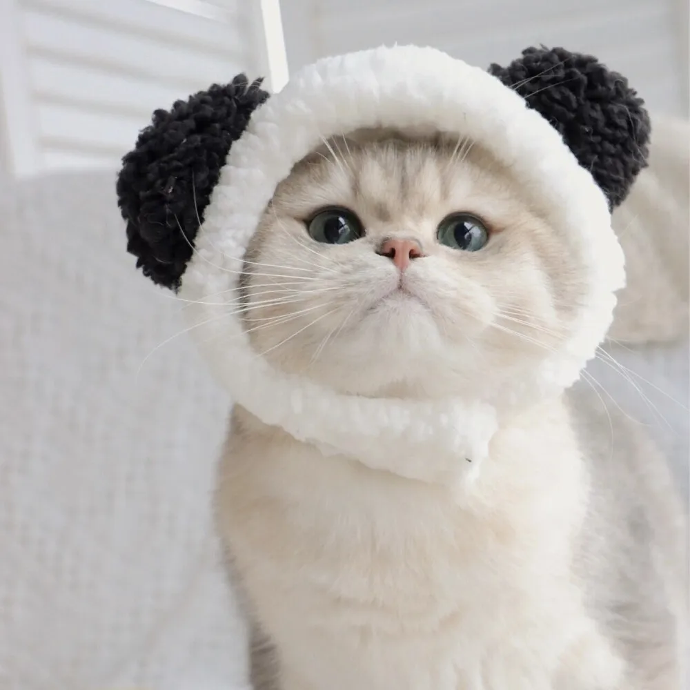 

Комплект из 4 шт. 100-мм шин для радиоуправляемых раллийных внедорожных багги 1/7 1/8 с креплением 17 мм Hex для моделей ARRMA, Trxs, Redcat, Team Losi, Kyosho, HPI, WR8, HSP