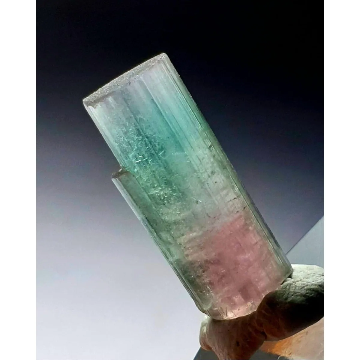 Brazilian Elbaite Crystal Points, 10g 5-15mm Colorful Raw Crystals, Display Box for Living Room Decor & Stone Collection
