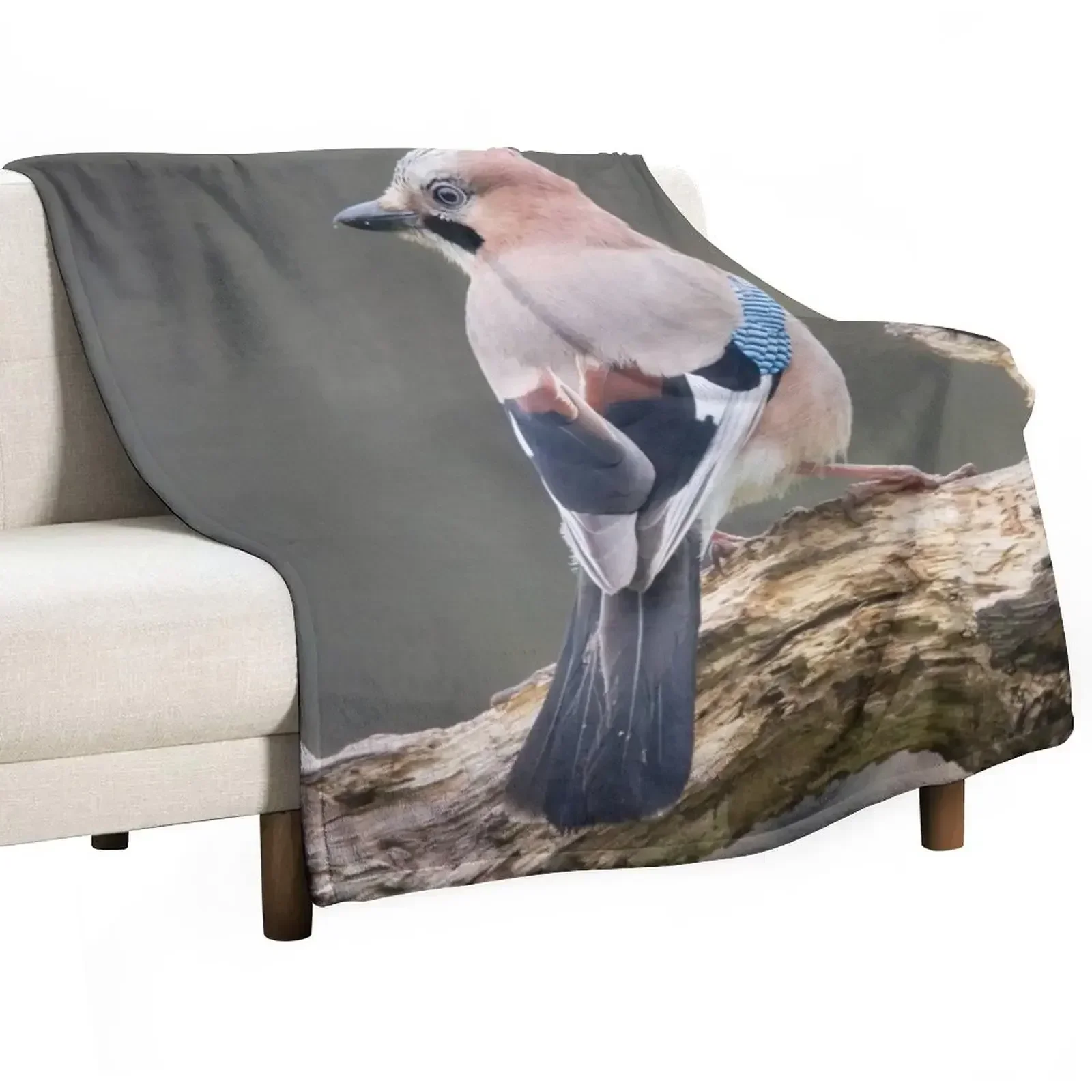 

Eurasian Jay #1 Throw Blanket Decorative Throw Bed Fashionable Luxury Brand Bed Blankets