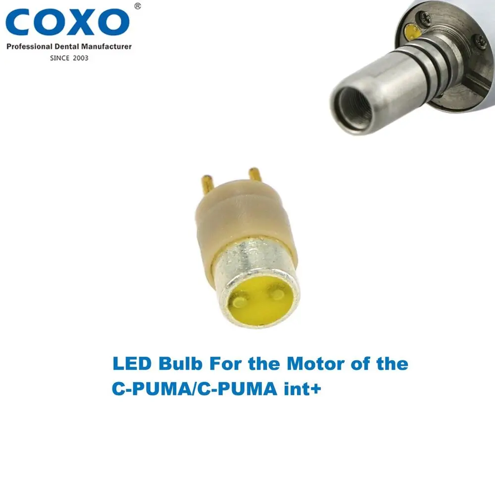 محرك كهربائي بدون فرش ليد لطب الأسنان COXO ، فتحتان ، قطع غيار ، مجموعة لمبة أنبوب الكابل