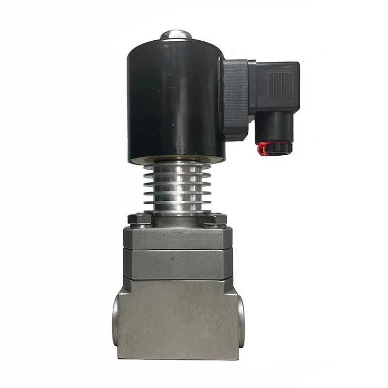 16bar 1.6MPa 350 ℃   Katup solenoid suhu tinggi 1/4 24V Orifice 8mm SS316L DN8 normal tertutup untuk pelarut organik