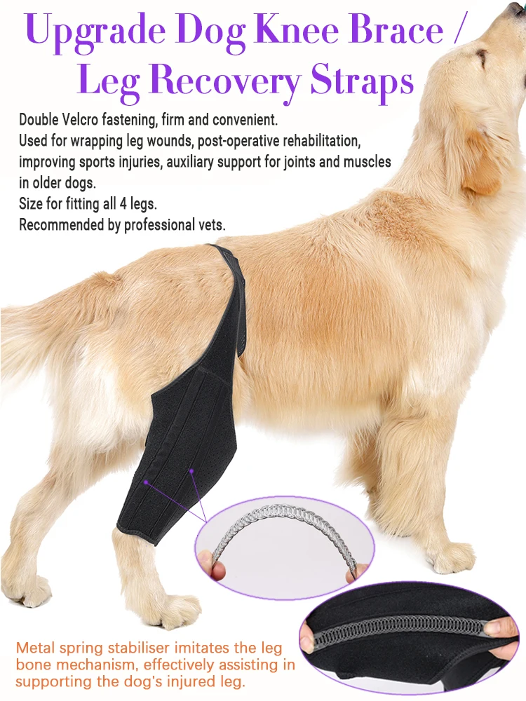 

Pet Dog Knee Brace for Front Back Leg with Metal Support Dogs Leg Recovery Suit Joint Wraps Orthopedic Elbow Brace Pad Bandages