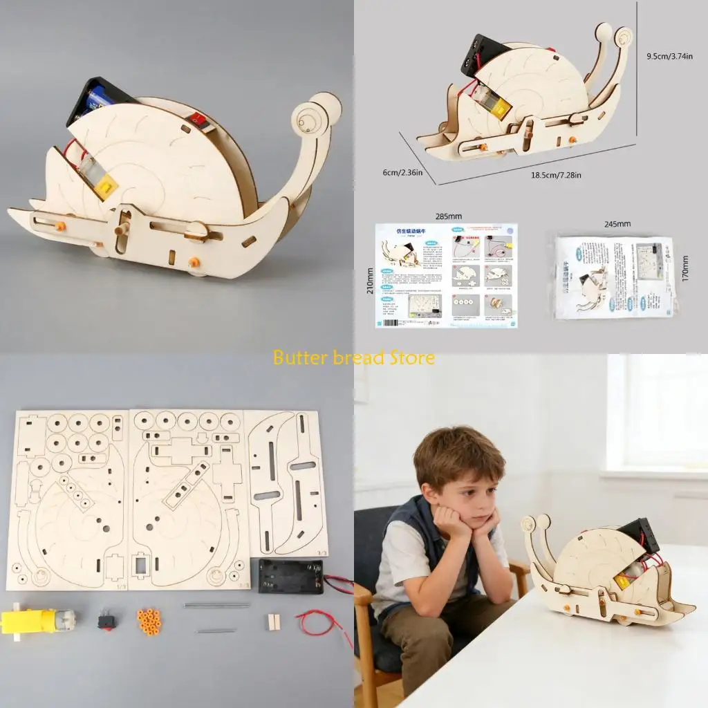 W89C Educational Hand Craft Science Model Set Funny Electric Snail Wooden Craft for Classroom Use and Student Engagement