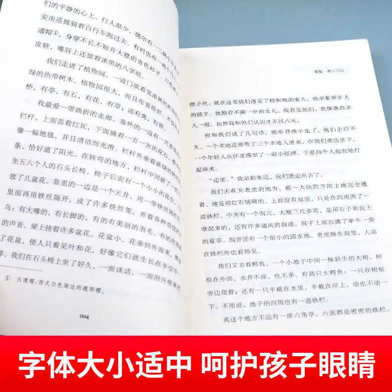 A Must Read Extracurricular Book for 4th Grade, Accompanied By Chinese Language Textbooks, 'Tianshan in July'