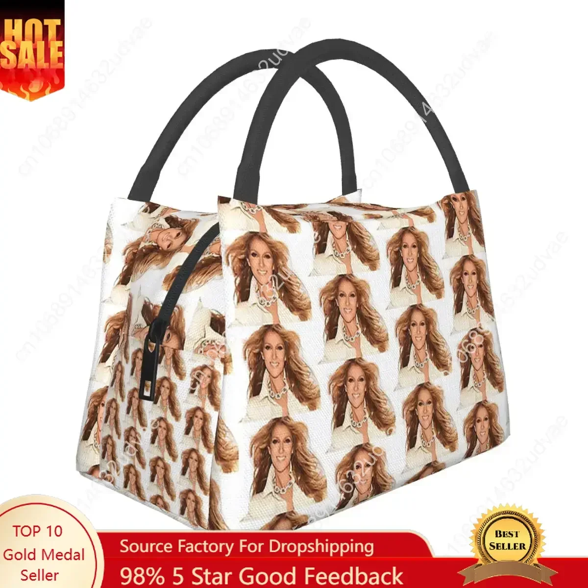 Rambutterurai Celine Dion Tour Dates And C Lunch Bags Insulated Bento Box Resuable Lunch Tote Picnic Bags for Woman Kids School