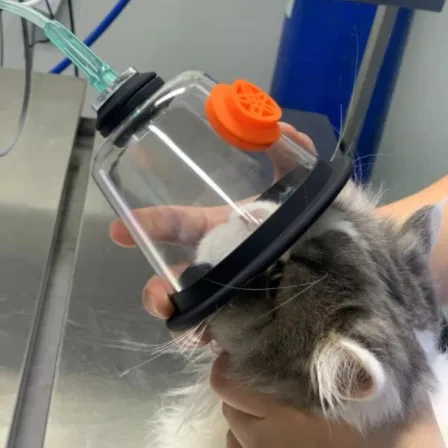 Professional Nebulizer First Aid Animal Atomizing Connect Oxygen Mask Concentrator Generator Cat Dog Rabbit Pet Clinic Hospital