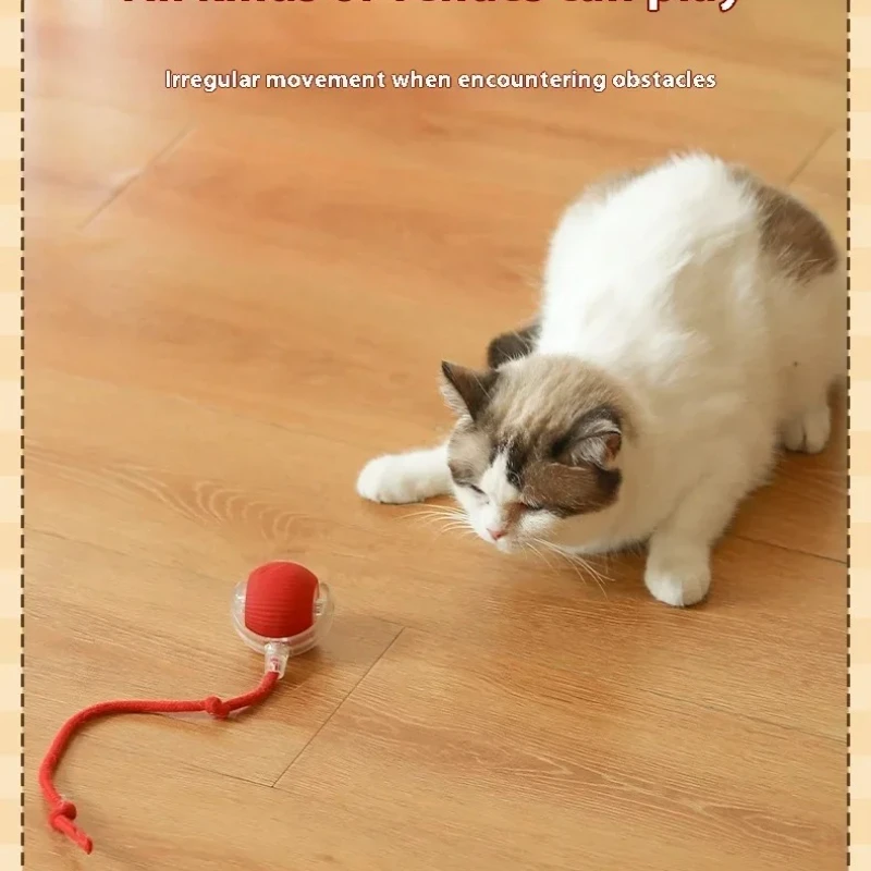 Автоматический катящийся шарик с искусственным хвостом для кошек, игрушки для дрессировки собак и кошек, имитация мыши, перезаряжаемая умная электрическая игрушка для домашних животных, подарок для кошек