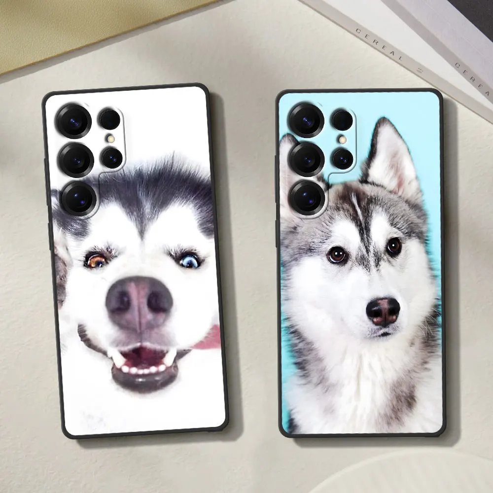 Custodia per cucciolo di animale Husky per Samsung Galaxy Note 20 Ultra 5G 10 Plus 9 Cover per telefono in TPU nero M12 J6 Plus J7 J8 J5 Prime