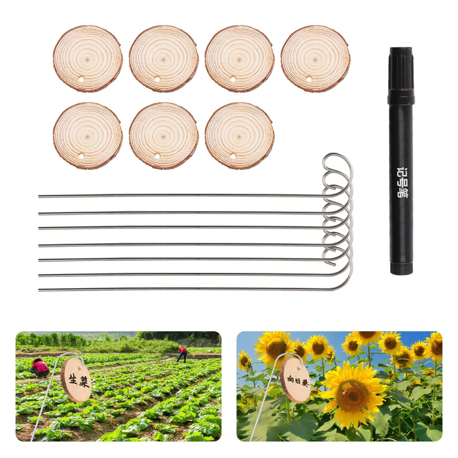 

20x Garden Stake Tags Plant Labels with Stainless Steel Stakes for Backyard
