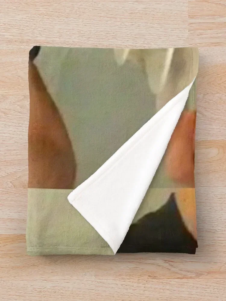 ريان جوسلينج يأكل الحبوب رمي بطانية أريكة رمي البطانيات للطفل البطانيات نزهة بطانية غطاء سرير قطن